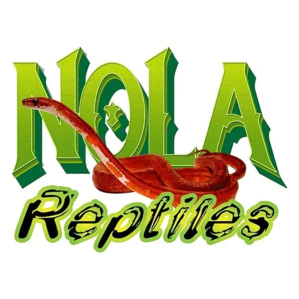 nola reptiles snake breeder logo design denham springs