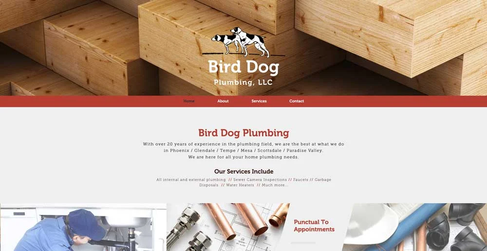 Top 100 Plumbing Websites for Inspiration