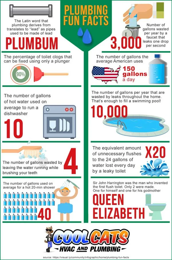 plumbing fun facts for blog post