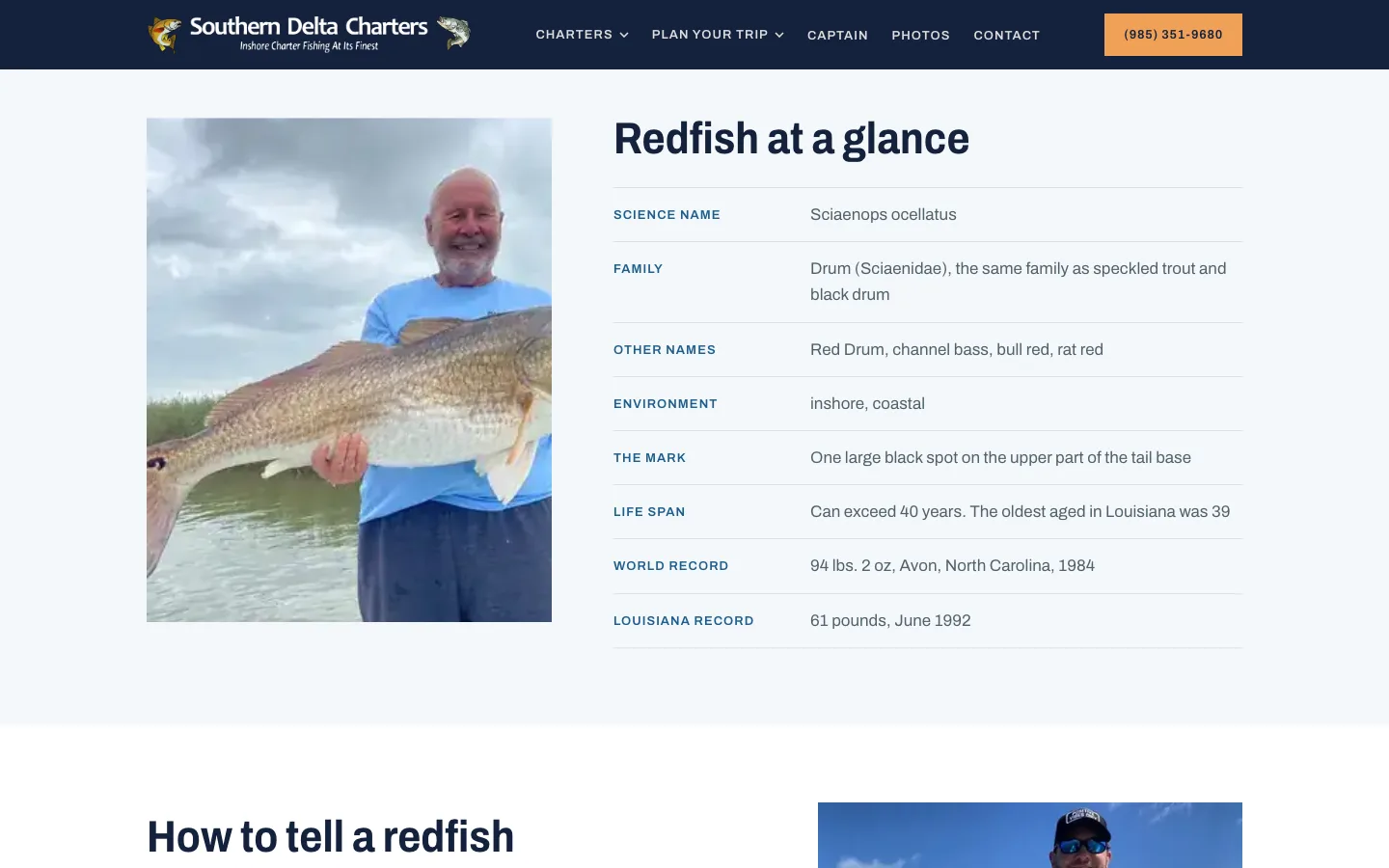 Redfish Charters page with a Redfish at a glance fact table beside a photo of a guest holding a redfish