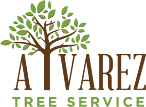 alvarez tree service logo FINAL