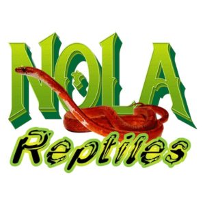 nola reptiles snake breeder logo design denham springs