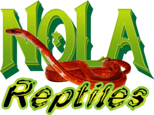 nola reptiles snake logo