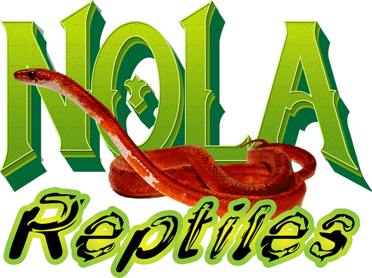 nola reptiles snake logo