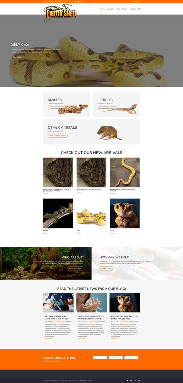 the exotic shed reptile breeder website design in progress