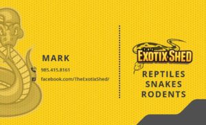 the exotix shed business card back