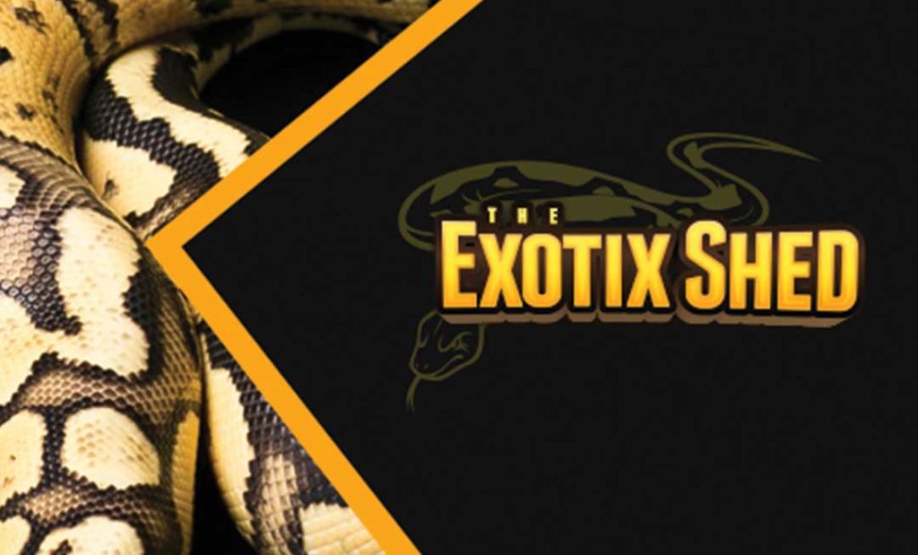 the exotix shed business card front