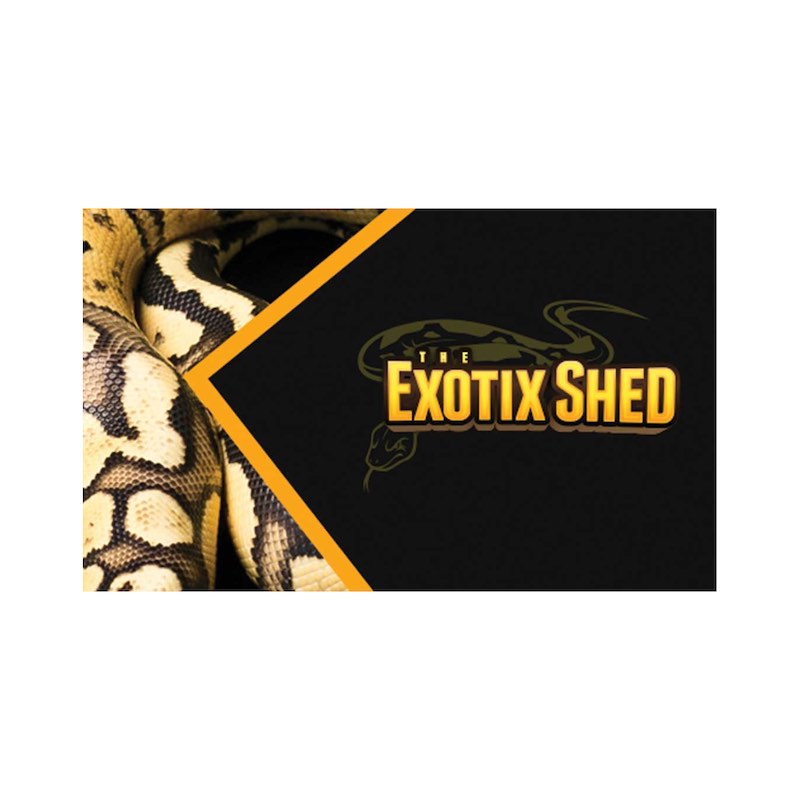 the exotix shed snake business card front