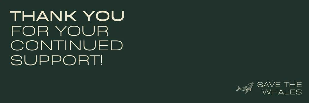 nonprofit thank you blog post idea