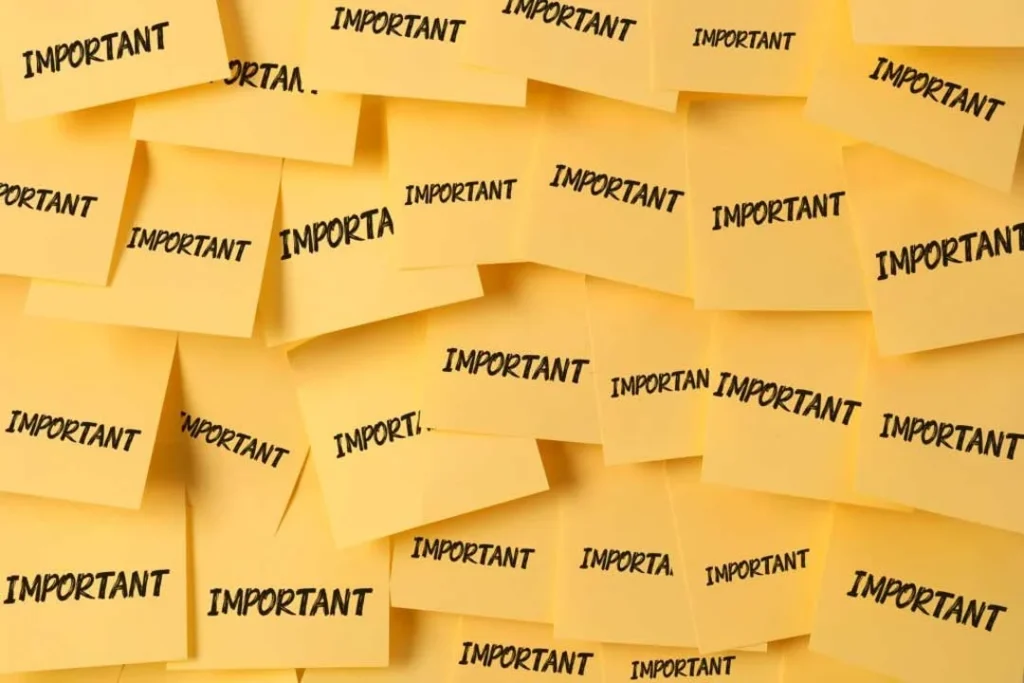 web design probono client priority
