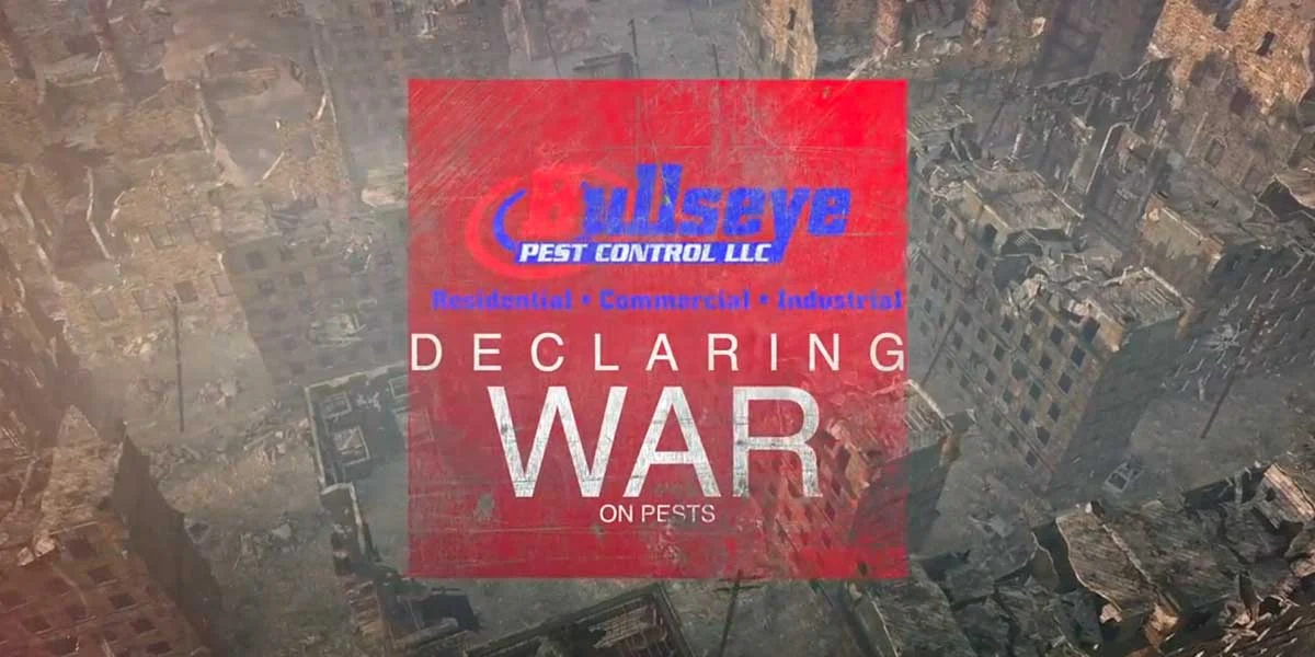 bullseye pest control introduction video still 1