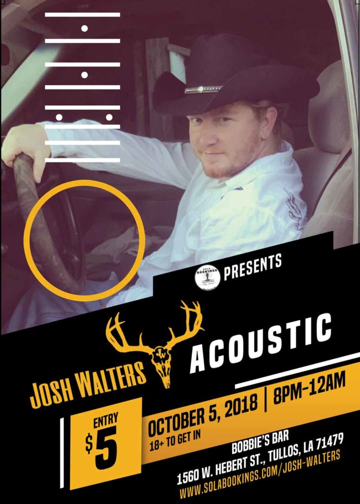 josh walters minimalist acoustic show flyer 1