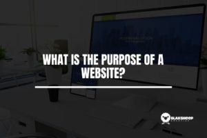 what is websites main purpose