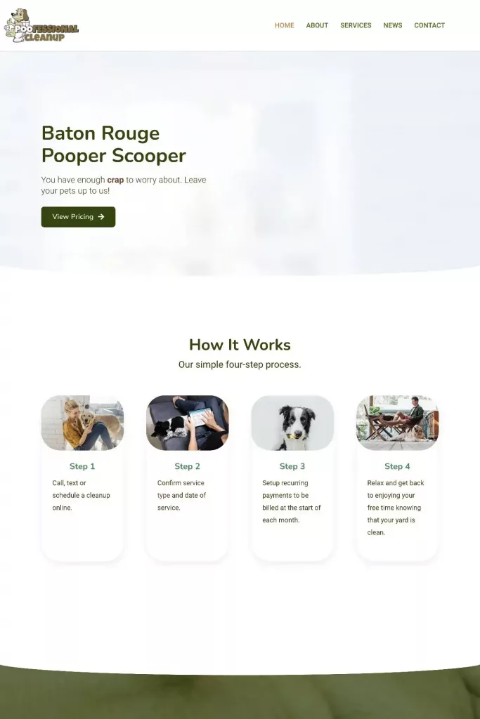 https poofessionalcleanup.com