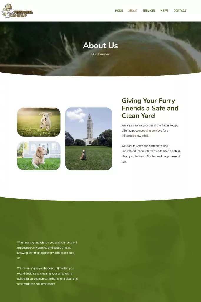 https poofessionalcleanup.com about