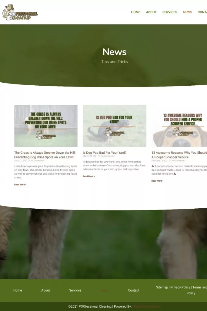 https poofessionalcleanup.com news