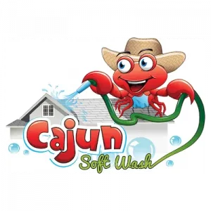 cajun soft wash logo