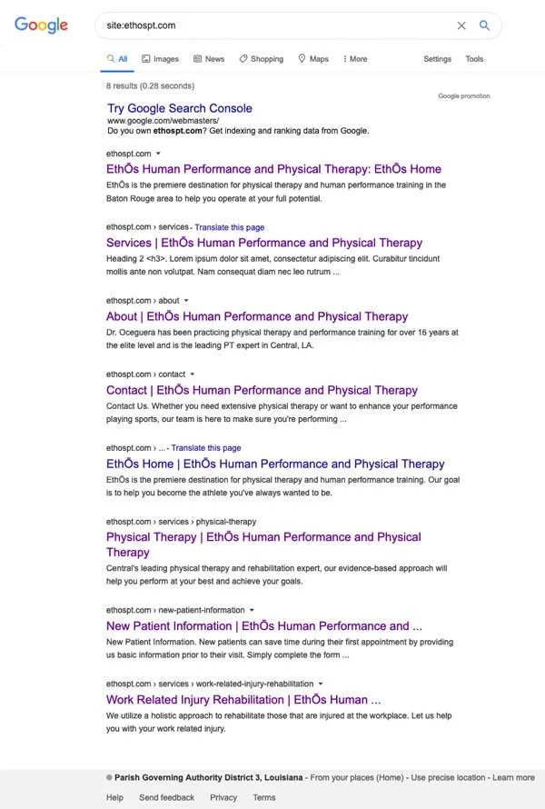 pages indexed on google for ethospt dot com