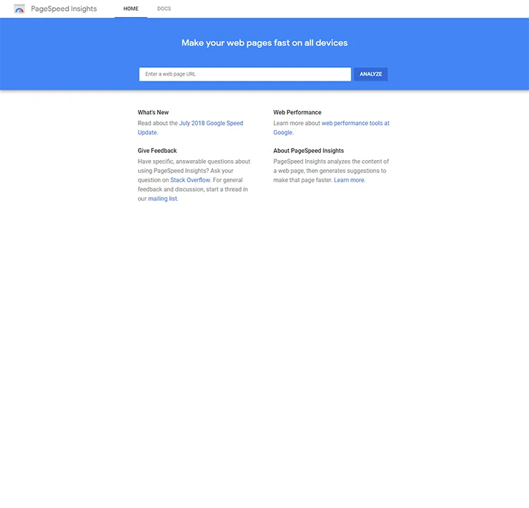 pagespeed insights screenshot small 740x711 1