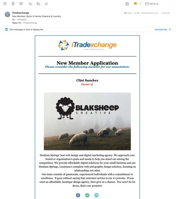 tradexchange web designer blaksheep creative