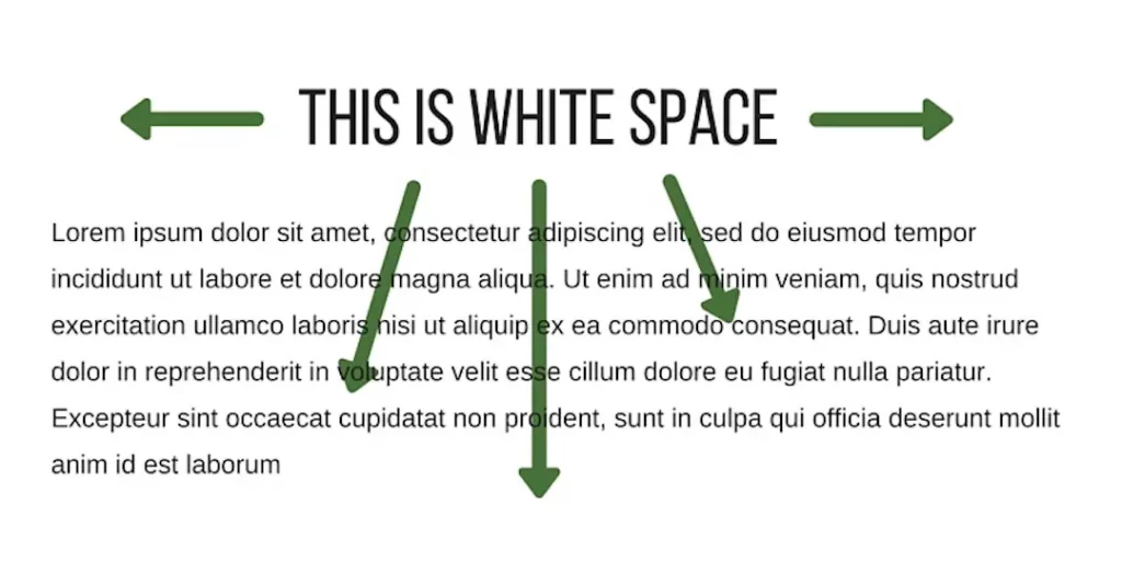 whitespace graphic design trends 2022