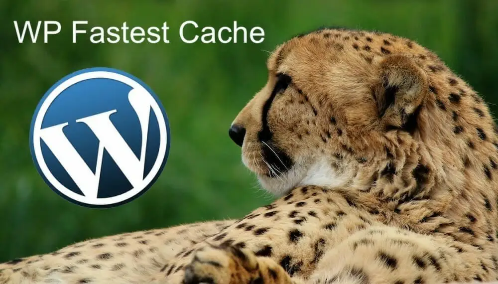 wp fastest cache speed up wordpress website