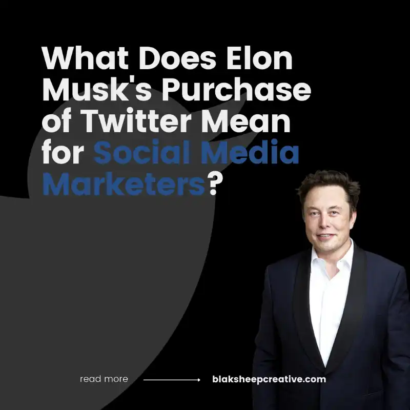 elon musk buy twitter