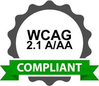 WCAG free accessibility audit