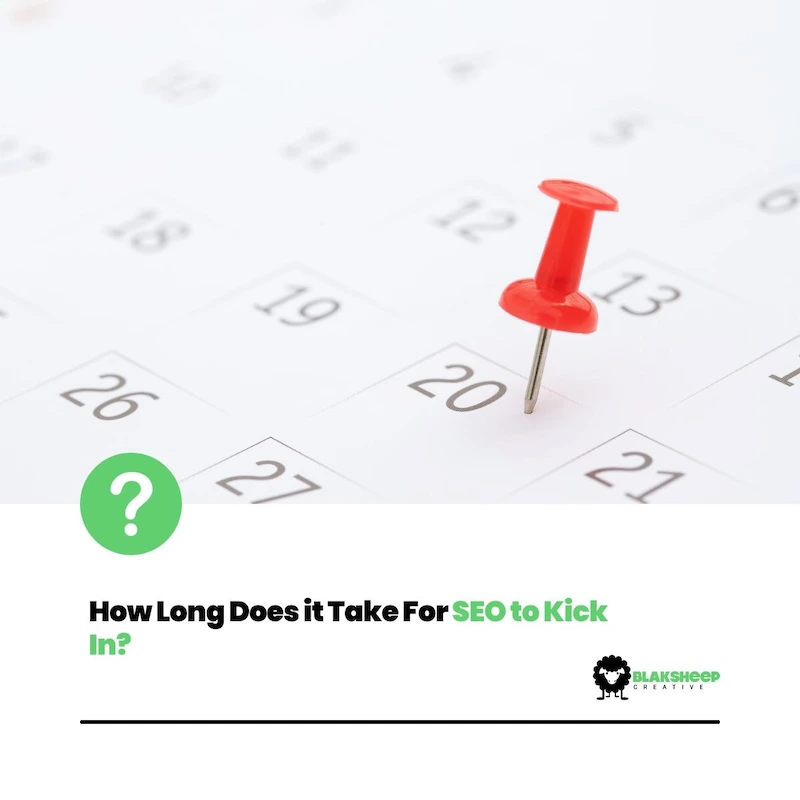 How Long Does It Take For SEO To Kick In BlakSheep Creative