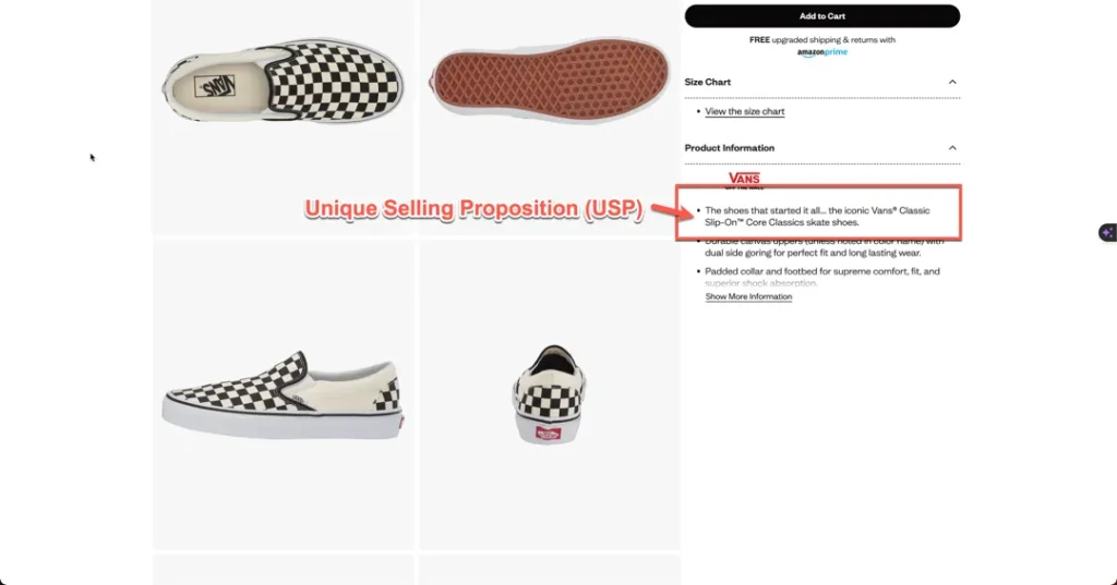 ecommerce shoe unique selling proposition
