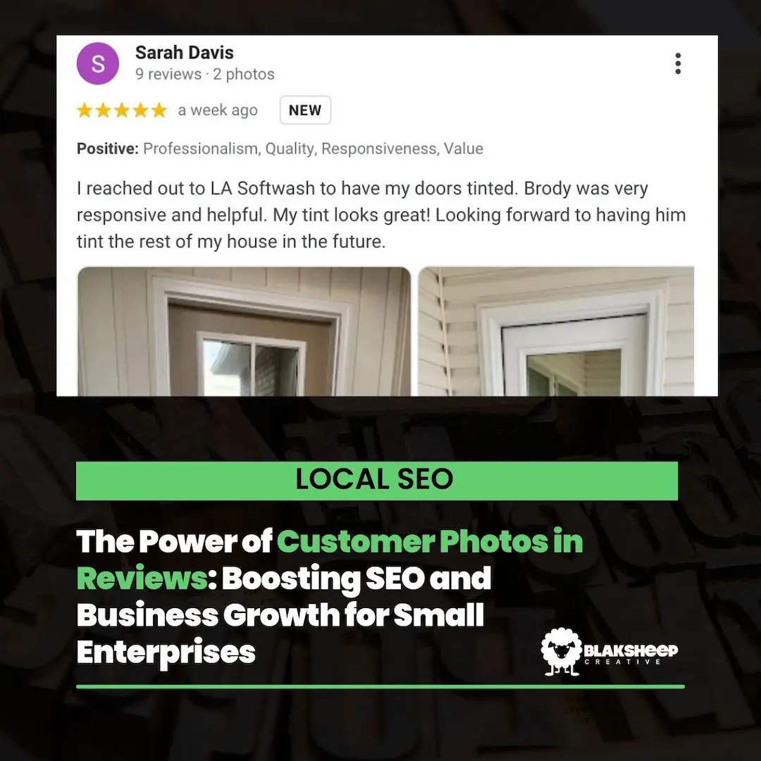 local seo customer review with photo for la softwash