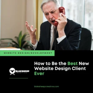 how to be best website client ever
