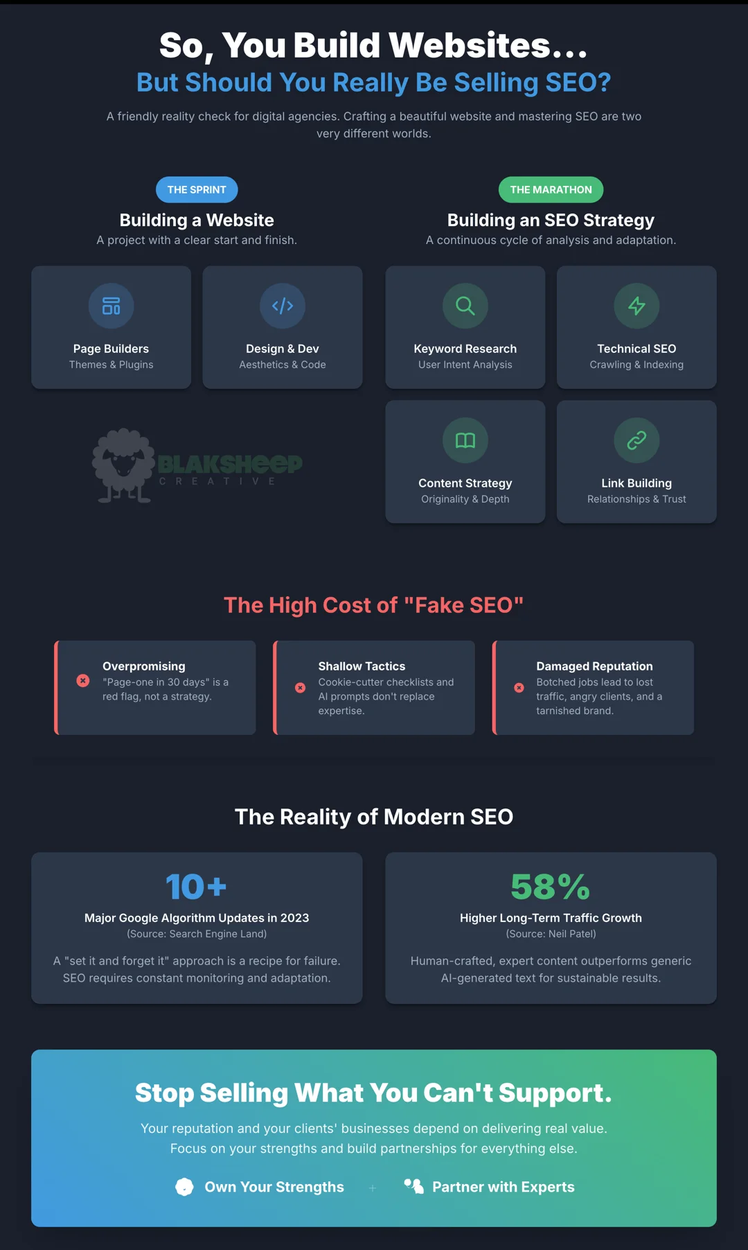 bad seo infographic
