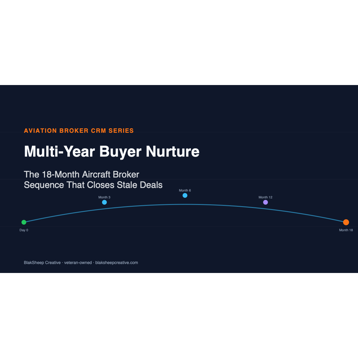Multi-Year Buyer Nurture — branded BSC hero (aviation cluster)