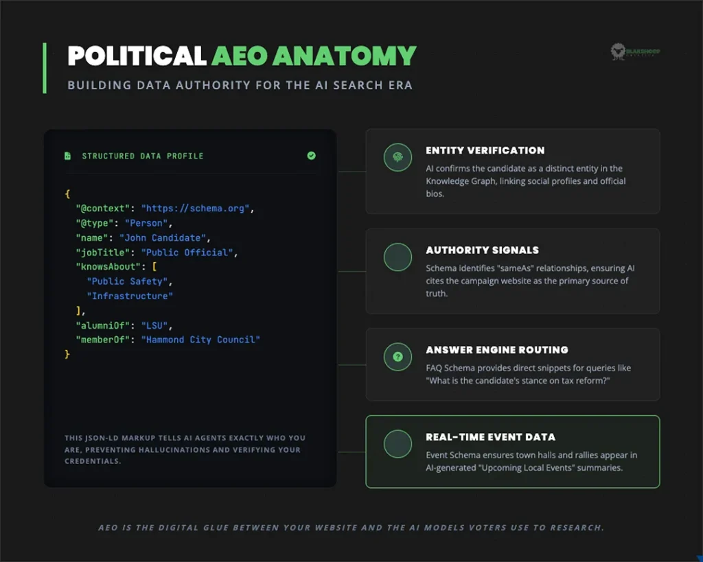 political aeo anatomy