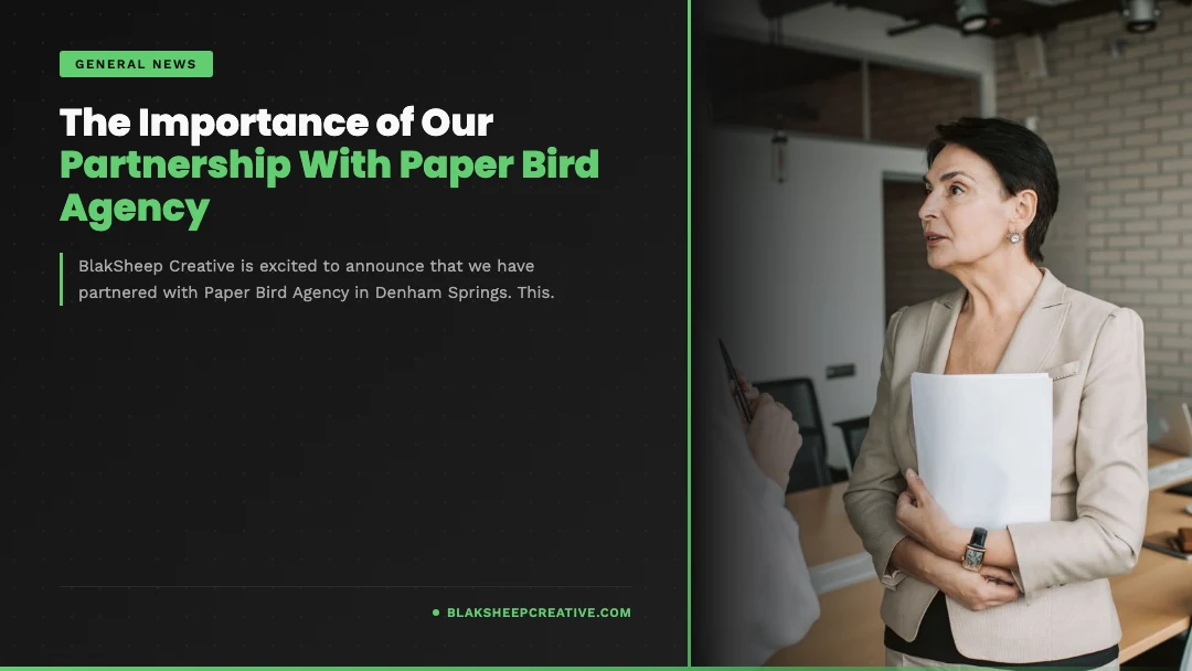 paper bird partnership feat1080